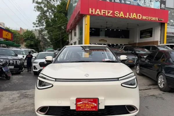 Dongfeng Box 2026