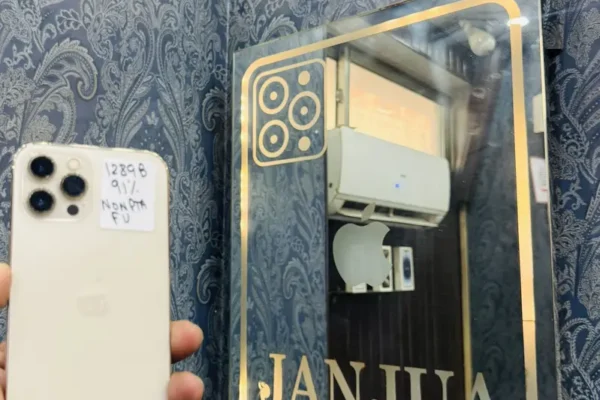 iPhone 12 pro max