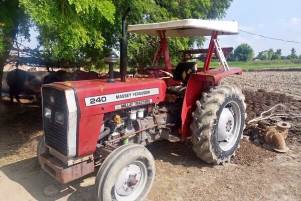 Massey Ferguson MF 240 Model 2012 For Sale in shakot