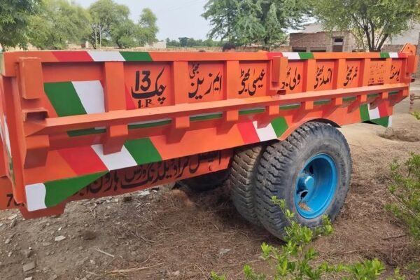 Tarali for sale in punjab