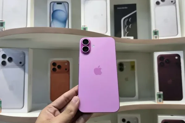 16 Plus Pink Sims Non Active